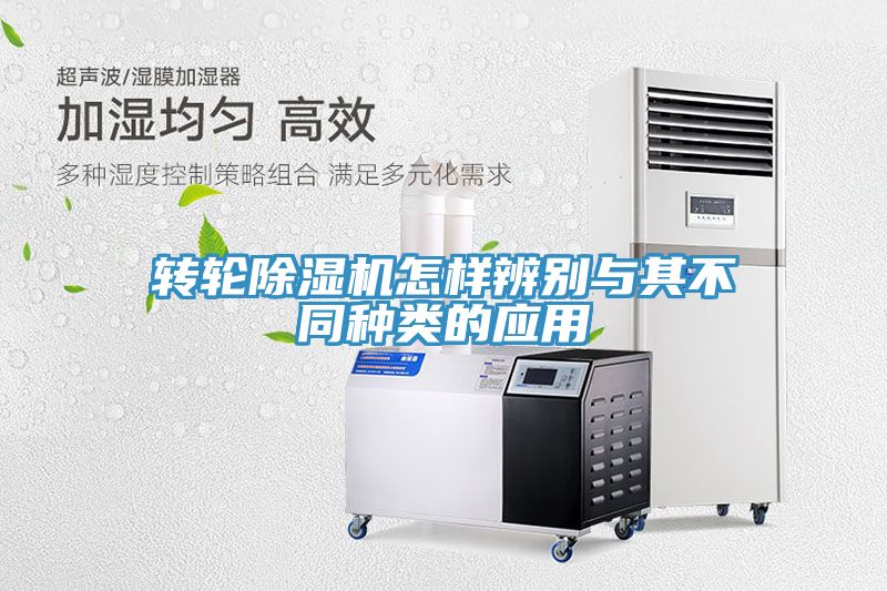 轉輪香蕉视频国产怎樣辨別與其不同種類的應用