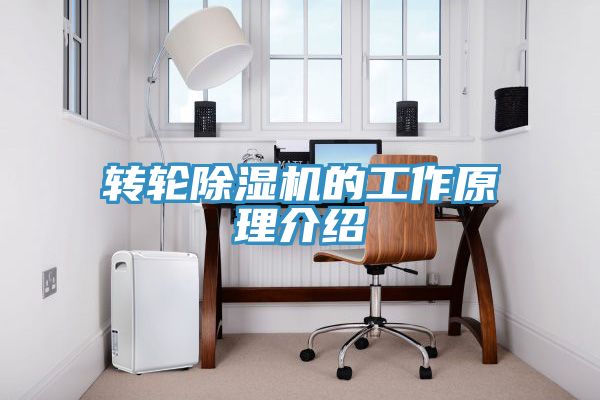 轉輪香蕉视频国产的工作原理介紹