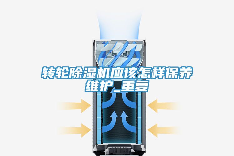轉輪香蕉视频国产應該怎樣保養維護_重複