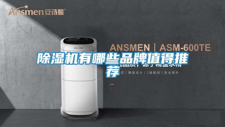 香蕉视频国产有哪些品牌值得推薦