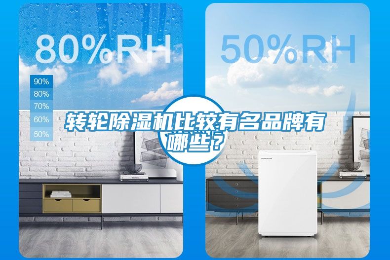 轉輪香蕉视频国产比較有名品牌有哪些？