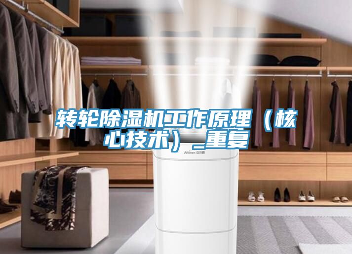 轉輪香蕉视频国产工作原理（核心技術）_重複