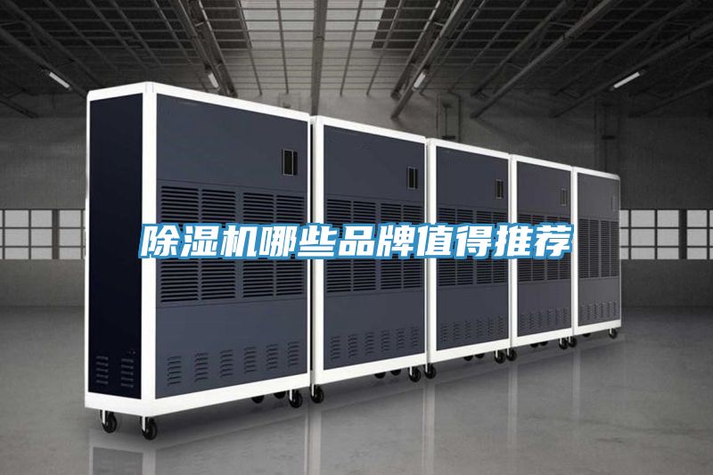 香蕉视频国产哪些品牌值得推薦