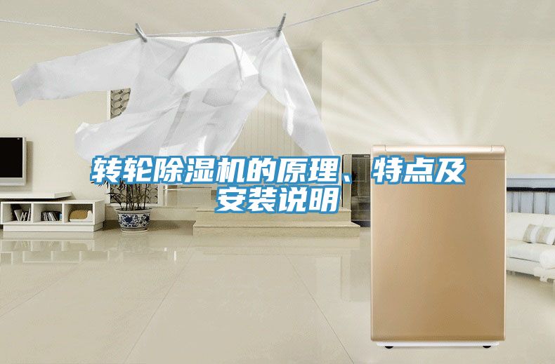 轉輪香蕉视频国产的原理、特點及安裝說明