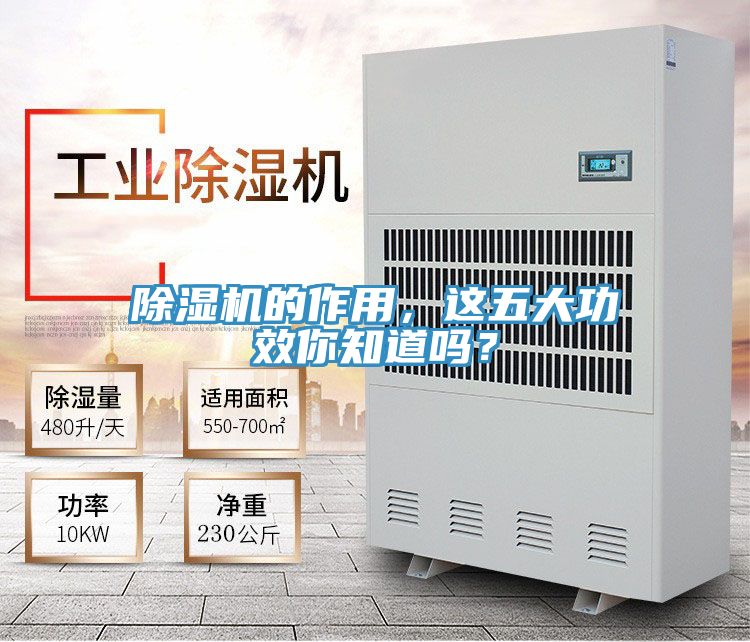 香蕉视频国产的作用，這五大功效你知道嗎？